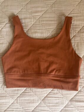 Offline by aerie Rusty Orange Sports Bra Medium